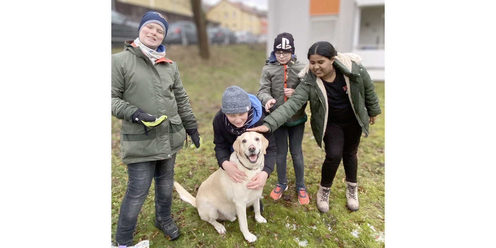 Bandklassen und Schulbands